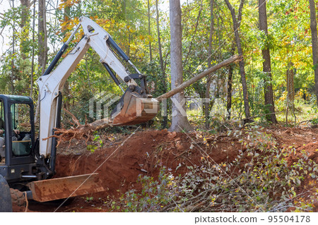 Trees that fell in street because of hurricane uprooted trees close to home with tractor had to lift trees up after they fell in streets Trees that fell in street because of hurricane uprooted trees close to home with tractor had to lift trees up after they fell in streets 95504178