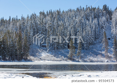 Winter lake Winter lake 95504573