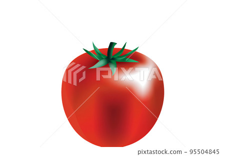 Illustration of a tomato on a white background 95504845
