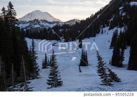 Mt Rainier 95505228