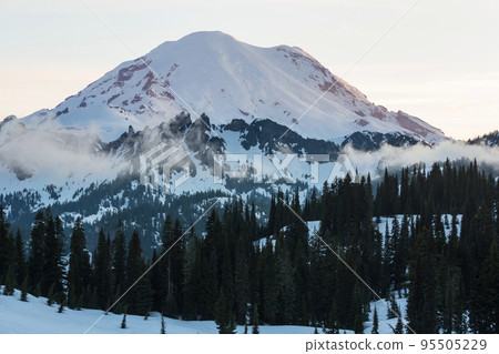 Mt Rainier 95505229