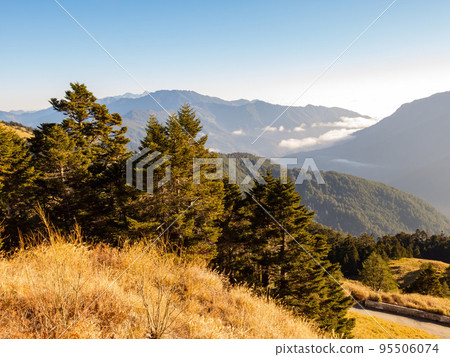 Sunrise beautiful landscape of Sea of clouds over Hehuanshan 95506074