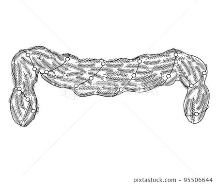 Christmas decorative festive garland of fir-tree branches doodle outline hand drawn vector illustration, holiday celebration image for greeting card, poster, home decor traditional seasonal elements Christmas decorative festive garland of fir-tree branches doodle outline hand drawn vector illustration, holiday celebration image for greeting card, poster, home decor traditional seasonal elements 95506644