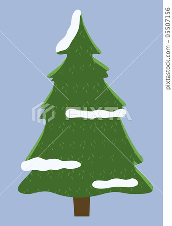 Winter nature prickly spruce, plant fir-tree with snow on the branches isolated on gray background 95507156