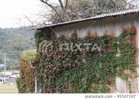 Old and very beautiful building seen on Kibiji in Soja city, Okayama prefecture, Japan Old and very beautiful building seen on Kibiji in Soja city, Okayama prefecture, Japan 95507197