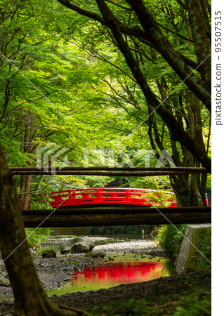 Ichinomiya, Mori-machi, Shuchi-gun, Shizuoka Prefecture Okuni Shrine and its precincts Ichinomiya, Mori-machi, Shuchi-gun, Shizuoka Prefecture Okuni Shrine and its precincts 95507515
