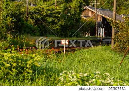 靜岡縣守知郡森町一宮天龍濱名湖鐵道及沿線風景 95507581