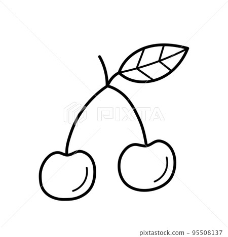 Cherry. Hand drawn sketch icon of fruit. Isolated vector illustration in doodle line style. 95508137