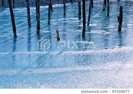 Blue Pond in Winter (Biei Town, Hokkaido) Blue Pond in Winter (Biei Town, Hokkaido) 95508677
