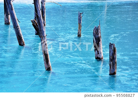 Blue Pond in Winter (Biei Town, Hokkaido) Blue Pond in Winter (Biei Town, Hokkaido) 95508827
