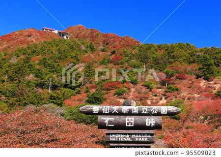 [長崎縣] 晴好時的新田峠的紅葉（雲仙山） 95509023