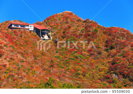 [長崎縣] 晴好時的新田峠的紅葉（雲仙山） 95509030
