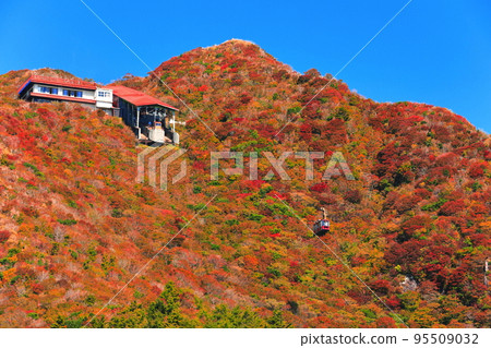[長崎縣] 晴好時的新田峠的紅葉（雲仙山） 95509032