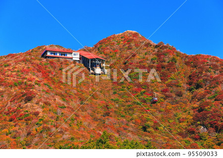 [長崎縣] 晴好時的新田峠的紅葉（雲仙山） 95509033