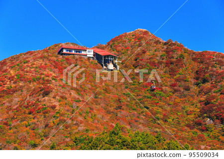 [長崎縣] 晴好時的新田峠的紅葉（雲仙山） 95509034