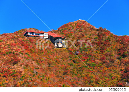 [Nagasaki Prefecture] Autumn leaves at Nita Pass in fine weather (Mt. Unzen) 95509035