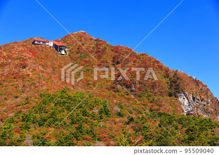 [Nagasaki Prefecture] Autumn leaves at Nita Pass in fine weather (Mt. Unzen) 95509040