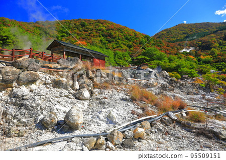 [長崎縣]陽光明媚的秋葉雲仙地獄（大糸地獄） 95509151