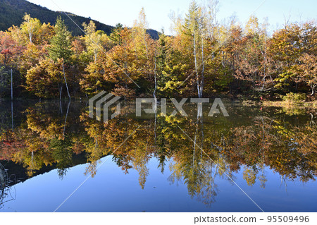 Pond in the fall of autumn 95509496