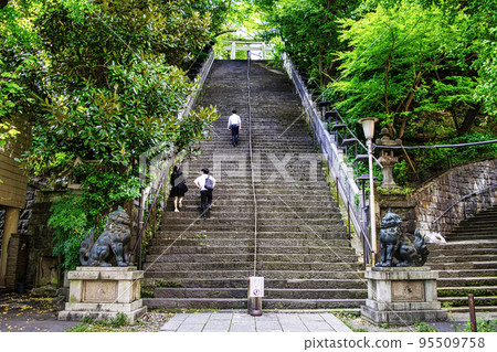 東京愛宕神社成功的石階 東京愛宕神社成功的石階 95509758