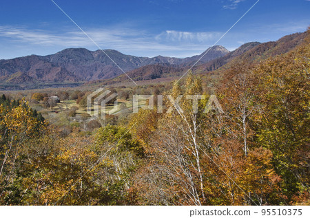 新潟縣笹嶺高原和屋山妙高市美麗的秋葉 新潟縣笹嶺高原和屋山妙高市美麗的秋葉 95510375