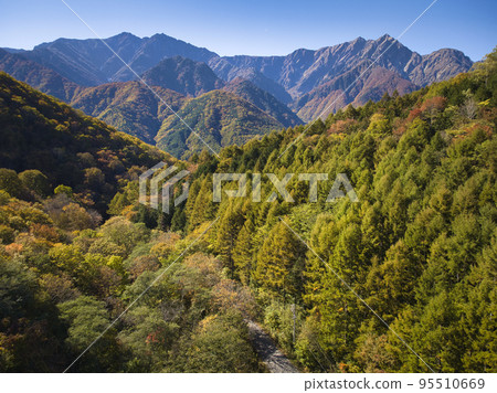 Autumn leaves from Kurosawa Highland and Mt. 95510669