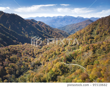 長野縣小谷村妙高小谷林道和牛城立山山脈的美麗秋葉（無人機航拍） 95510682