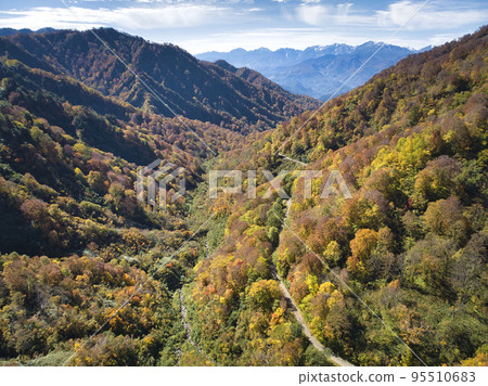 長野縣小谷村妙高小谷林道和牛城立山山脈的美麗秋葉（無人機航拍） 95510683