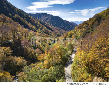 Beautiful autumn leaves on the Myoko-Otari forest road and the Ushiro-Tateyama mountain range, Otari Village, Nagano Prefecture (Aerial shot by drone) Beautiful autumn leaves on the Myoko-Otari forest road and the Ushiro-Tateyama mountain range, Otari Village, Nagano Prefecture (Aerial shot by drone) 95510687