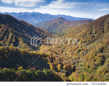 Beautiful autumn leaves on the Myoko-Otari forest road and the Ushiro-Tateyama mountain range, Otari Village, Nagano Prefecture (Aerial shot by drone) Beautiful autumn leaves on the Myoko-Otari forest road and the Ushiro-Tateyama mountain range, Otari Village, Nagano Prefecture (Aerial shot by drone) 95510688