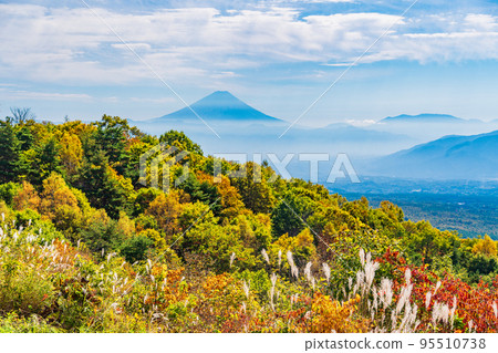 （長野縣）富士見高原度假村擁有美麗的蒲葦和秋葉，遠眺富士山 95510738