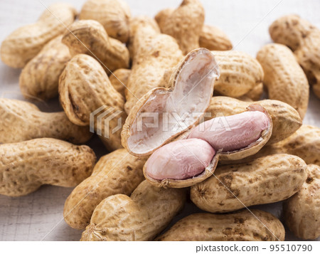 Raw Peanuts with Shell Oomasari 95510790