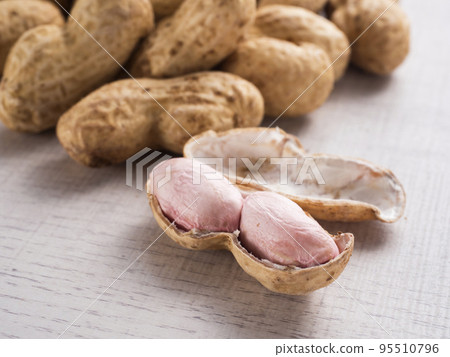 生花生殼 Oomasari 生花生殼 Oomasari 95510796