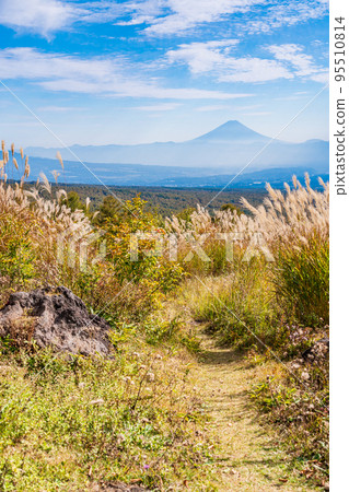 (長野縣)蒲葦和遠眺富士見高原度假村的富士山 (長野縣)蒲葦和遠眺富士見高原度假村的富士山 95510814