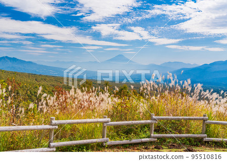 （長野縣）蒲葦和遠眺富士見高原度假村的富士山 95510816