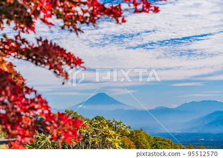 (長野縣)從秋葉美麗的富士見高原度假村看到的富士山 (長野縣)從秋葉美麗的富士見高原度假村看到的富士山 95512570