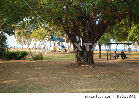 在海灘公園野餐 95512841