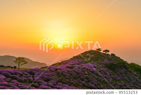 黃梅山,有紅色杜鵑花的旅遊勝地 黃梅山,有紅色杜鵑花的旅遊勝地 95513253