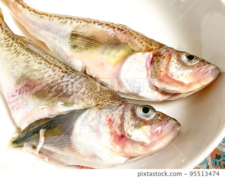 fresh roe sandfish fresh roe sandfish 95513474