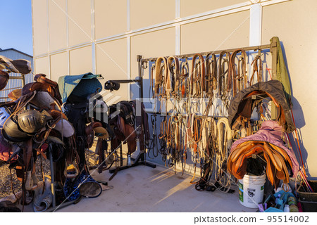 Kits of leather bridles and bats hang on the walls of the stable. Kits of leather bridles and bats hang on the walls of the stable. 95514002