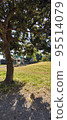Park Tree 95514079