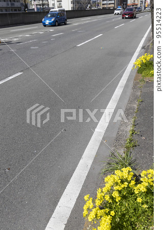 路邊的酢漿草景觀與15號國道上行駛的汽車 路邊的酢漿草景觀與15號國道上行駛的汽車 95514223