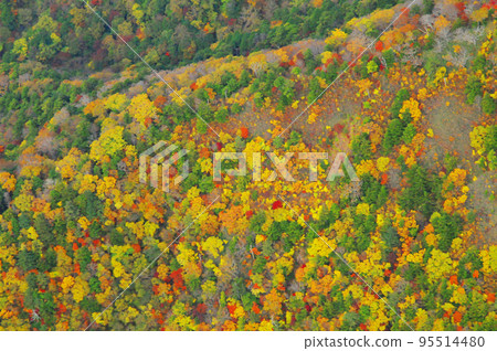Autumn leaves Shikoku Mountains Ishizuchi 95514480
