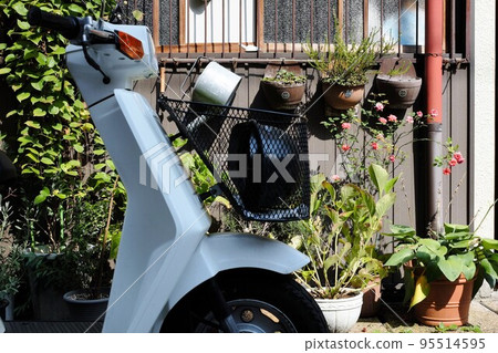 retro bike and plants in planters retro bike and plants in planters 95514595
