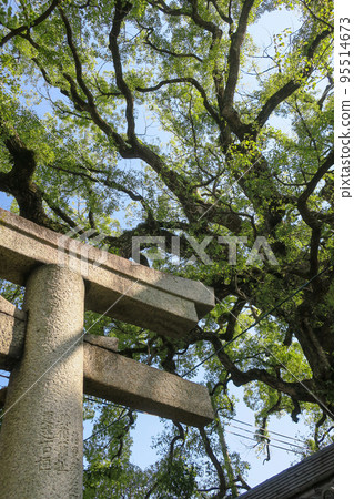 京都東山區 京都東山區 95514673