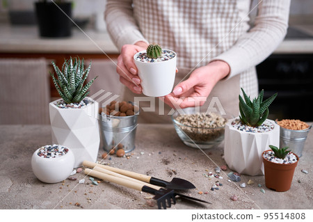 Woman holding Potted Cactus Plant in White plastic Pot Woman holding Potted Cactus Plant in White plastic Pot 95514808