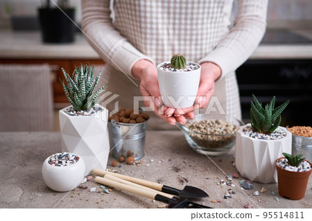 Woman holding Potted Cactus Plant in White plastic Pot Woman holding Potted Cactus Plant in White plastic Pot 95514811