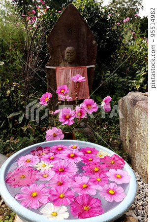 Cosmos of Wenji Temple 95514982