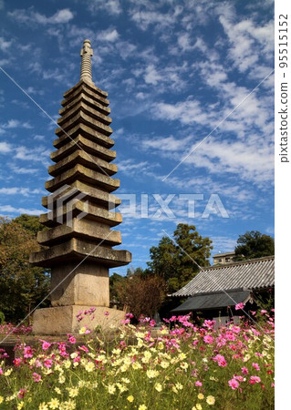 Cosmos of Wenji Temple 95515152