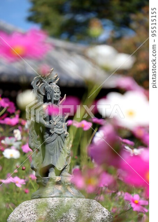 Cosmos of Wenji Temple Cosmos of Wenji Temple 95515155